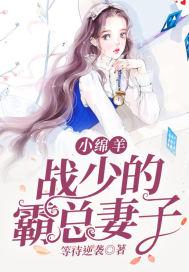 战少总裁