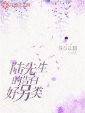 陆先生的恋爱法则免费阅读