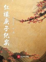 红楼梦 庚辰