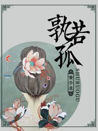 孰若孤的若怎么解释