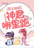 无上神帝君位是什么划分