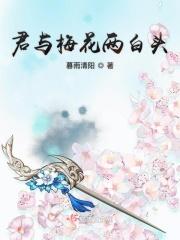 我与梅花两白头寒灯纸上