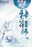 天师符什么意思