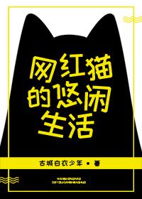网红猫的悠闲日常