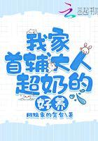 我家的首辅路子野