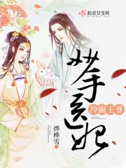 妙手医妃冷面王爷的