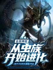 全民神祗类型