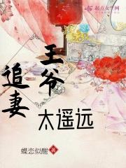 王爷追妻记全文免费阅读