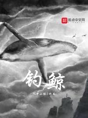 钓鲸鱼视频