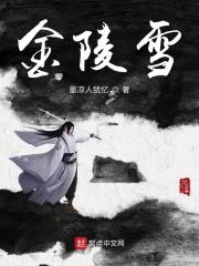 别来无恙金陵雪