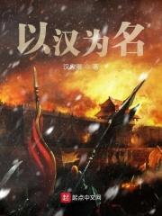汉名什么意思