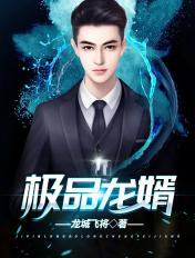 极品龙婿龙城飞将免费