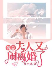夫人又闹离婚了免费全集