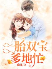 一胎双宝爹地你把我抱错了