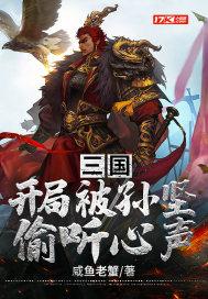 三国开局成为孙策的首席谋士