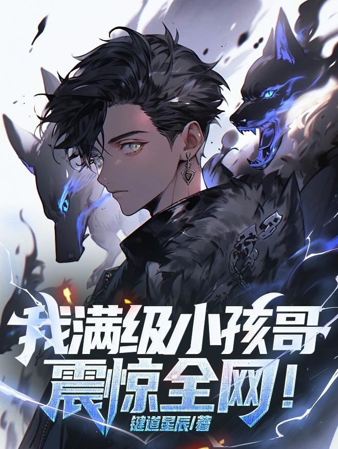 满级小孩啥意思