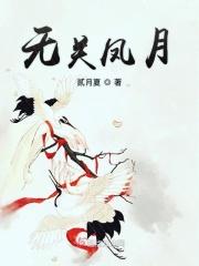 无关风月的意思
