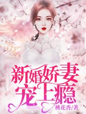 新婚骄妻宠上隐沈琦