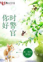 你好傅警官在线