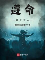 遵命大人表情包