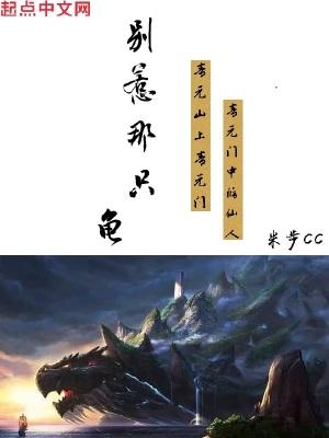 别惹那只龟风易居有什么手段