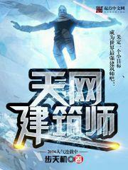 天网哪年开始建设