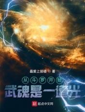 从斗罗开始我的武魂是魂环