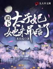 太子妃又爬墙了