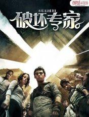 破坏专家国语