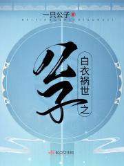 白衣祸世简介