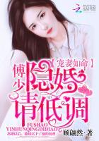女主洛南初男主傅庭渊