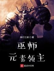 巫师元素领主好看吗
