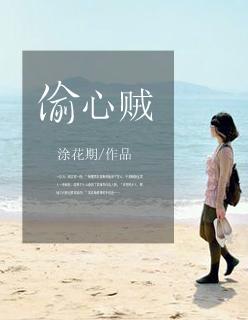 偷心贼的故事
