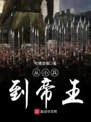 从小兵到将军的历史