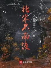 宋朝为什么南渡