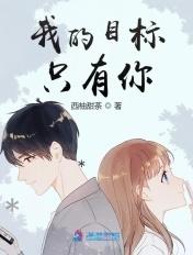 我的目标从来都是你