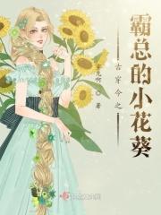 霸道总裁古代电视剧(穿越)