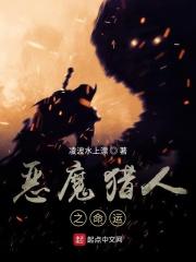 命运wyd猎人技能