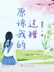 原谅我的过错歌词