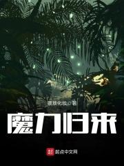 魔力归来外网架设