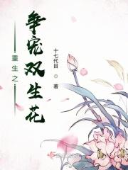 重生之双倍宠爱第二部