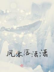 风萧萧兮雨潇潇