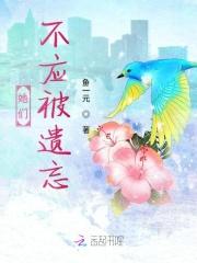 她们不应被遗忘英语