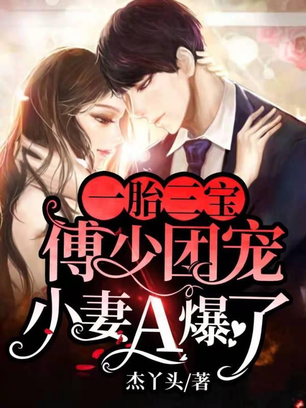 一胎两宝傅少强度宠