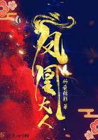 凤凰大人和比翼鸟