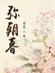 朝暮与你弥萝免费阅读
