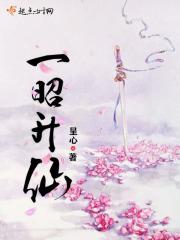 一昭升仙简介