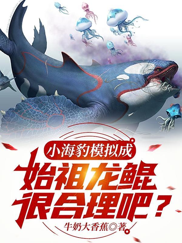 sog 小海豹