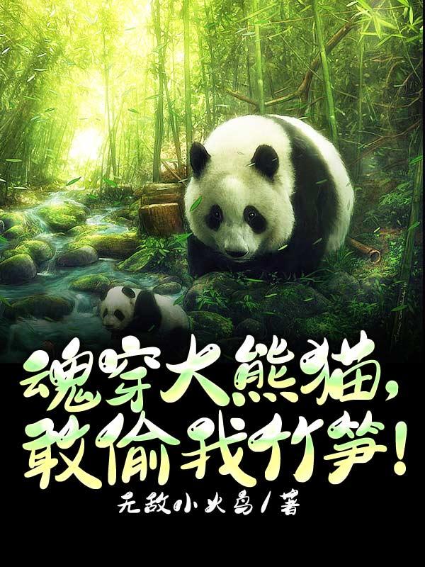 穿越大熊猫幼崽