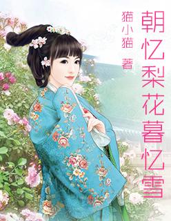 朝忆梨花暮忆雪怎么样